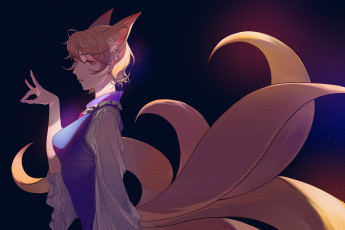 Картинка аниме touhou тоухоу