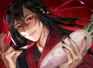 Картинка аниме mo+dao+zu+shi вэй усянь дайкон