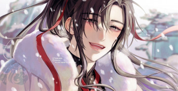 Картинка аниме mo+dao+zu+shi вэй усянь шуба зима снег