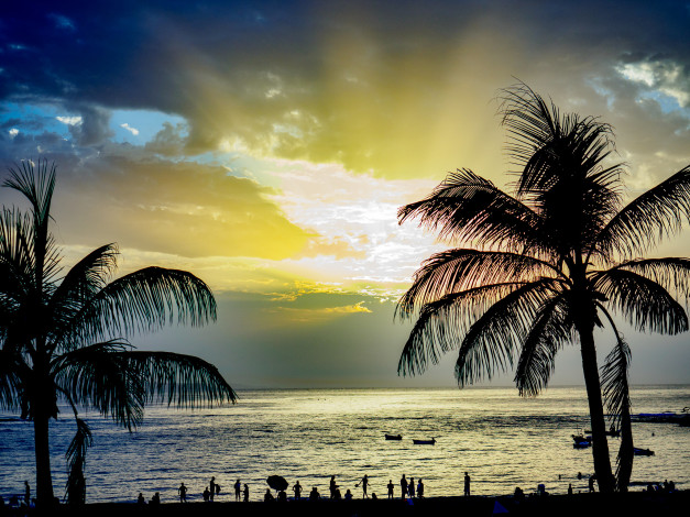 Обои картинки фото природа, тропики