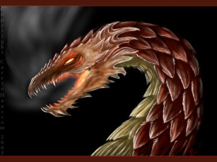 Картинка фэнтези драконы