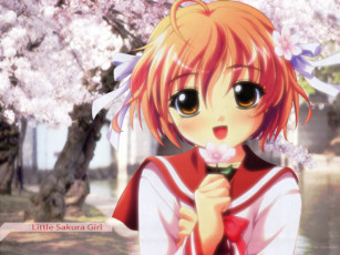 Картинка аниме *unknown другое