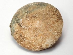 Картинка разное ракушки кораллы декоративные spa камни