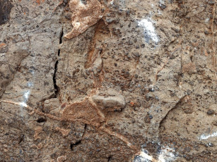 Картинка разное текстуры