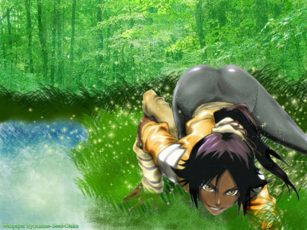 Обои картинки фото аниме, bleach