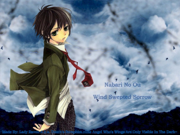 Обои картинки фото аниме, nabari, no, ou