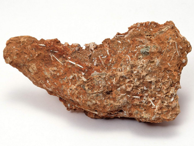 Обои картинки фото разное, ракушки, кораллы, декоративные, spa, камни