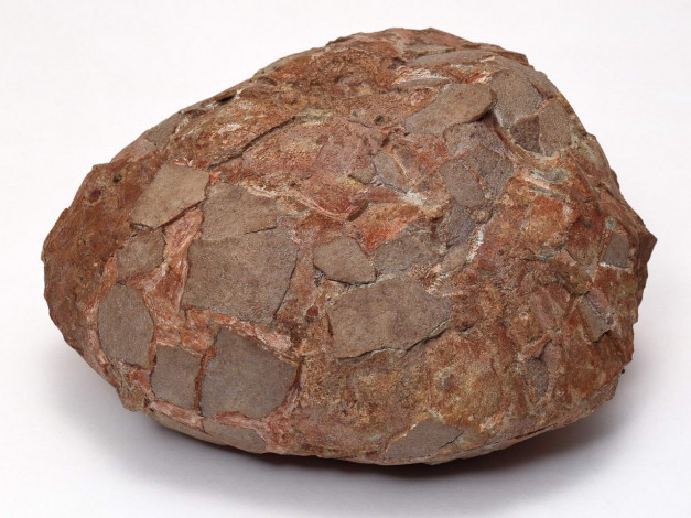 Обои картинки фото разное, ракушки, кораллы, декоративные, spa, камни