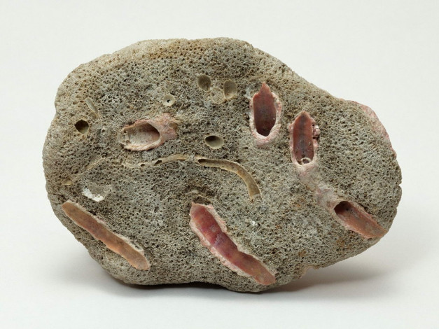 Обои картинки фото разное, ракушки, кораллы, декоративные, spa, камни