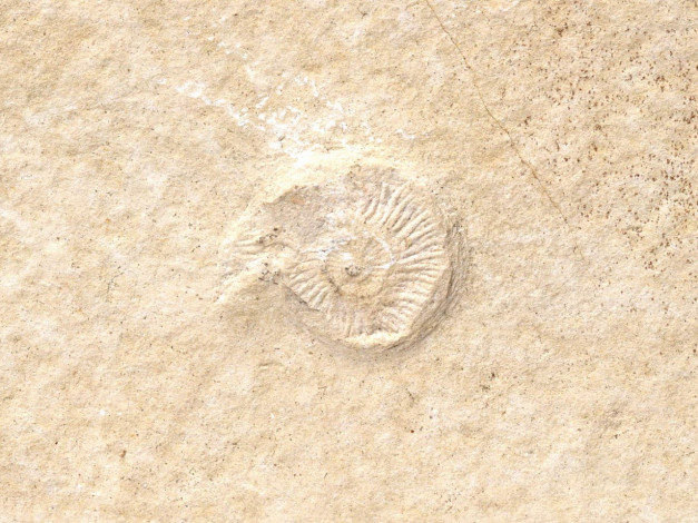 Обои картинки фото разное, текстуры