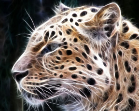 Картинка 3д графика animals животные