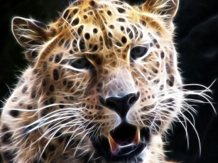 Картинка 3д графика animals животные