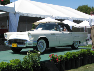 Картинка автомобили выставки уличные фото