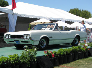 Картинка автомобили выставки уличные фото