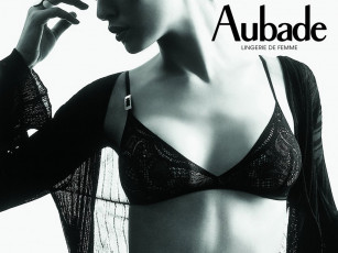 Картинка бренды aubade