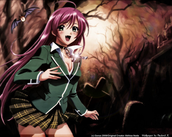 Обои картинки фото аниме, rosario, vampire