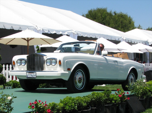 Обои картинки фото автомобили, выставки, уличные, фото