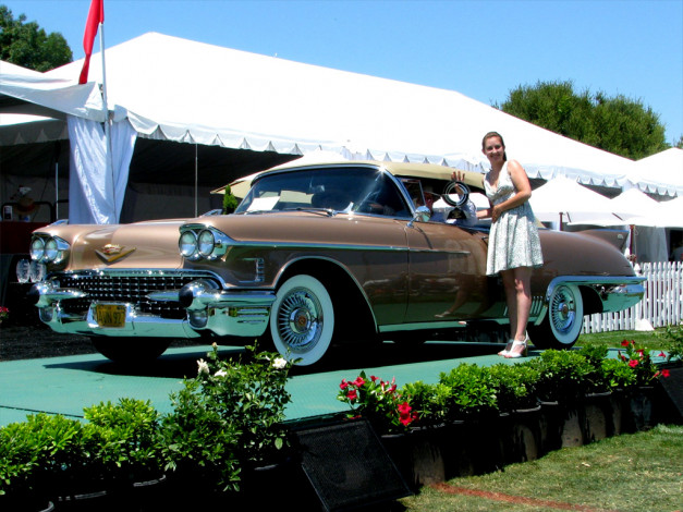 Обои картинки фото автомобили, выставки, уличные, фото