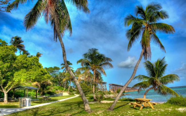 Обои картинки фото природа, тропики