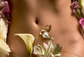 Картинка разное украшения аксессуары веера брошь калы жемчуг колибри живот пупок