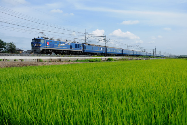 Обои картинки фото техника, поезда, поезд