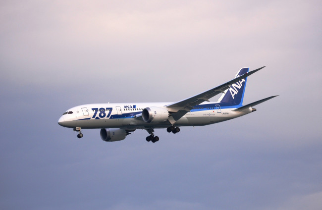 Обои картинки фото авиация, пассажирские, самолёты, самолет