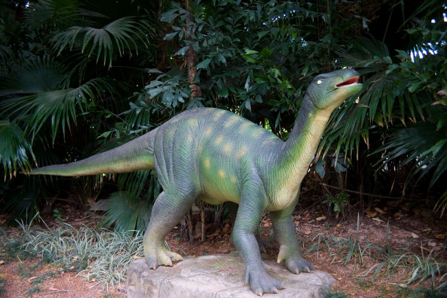 Обои картинки фото разное, рельефы, статуи, музейные, экспонаты, динозавр