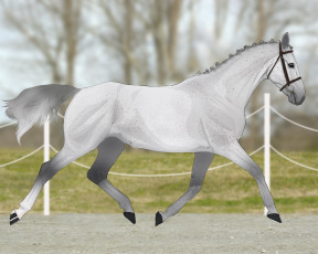 Картинка рисованные животные +лошади лошадь