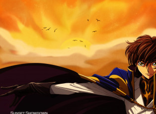 Картинка аниме code+geass птицы закат парень код гиасс