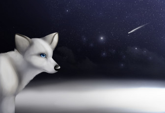 Картинка рисованные животные +собаки комета взгляд собака