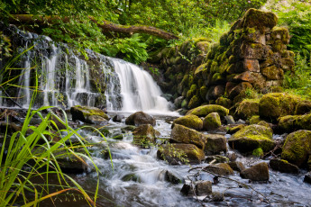 Картинка природа водопады лес река водопад скалы