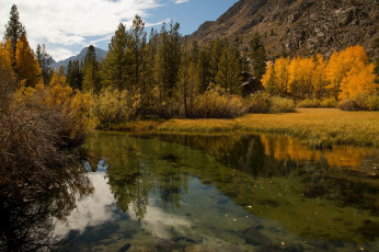 Картинка природа реки озера лес река