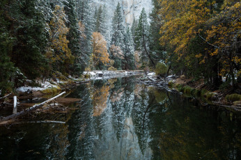 Картинка природа реки озера лес река