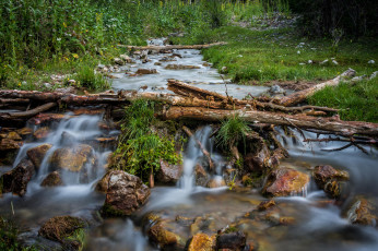 Картинка природа реки озера лес река