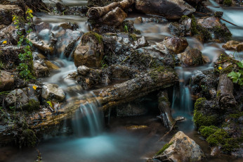 Картинка природа реки озера ручей камни