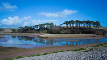 Картинка природа реки озера река пляж галька роща