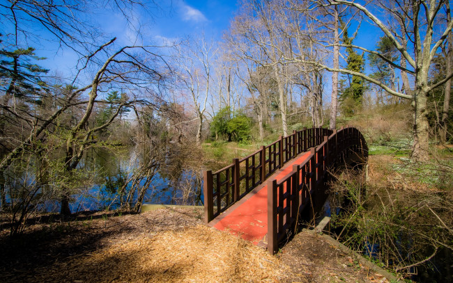 Обои картинки фото природа, реки, озера, лес, речка, мостик