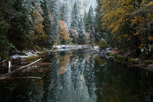 Обои картинки фото природа, реки, озера, лес, река