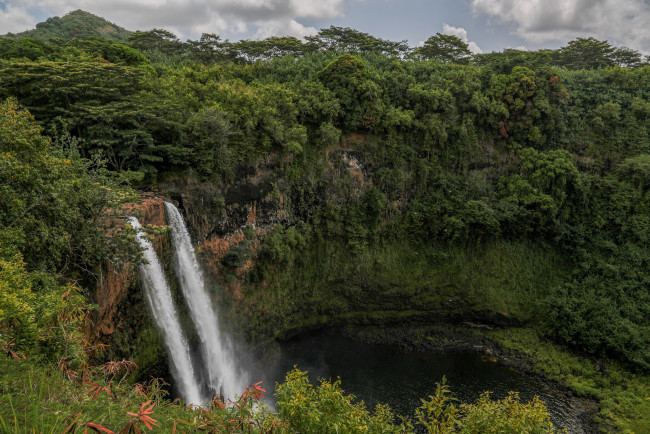 Обои картинки фото природа, водопады, скалы, лес, водопад