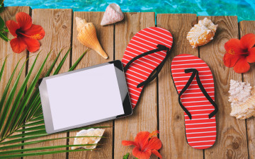 Картинка разное одежда +обувь +текстиль +экипировка пляж accessories seashells отдых каникулы сланцы лето beach summer vacation