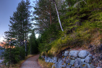 Картинка природа дороги тракт