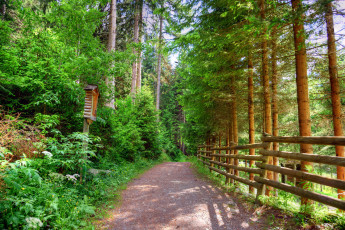 Картинка природа дороги тракт