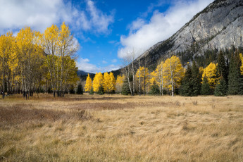 Картинка природа пейзажи горы лес