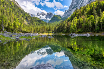 Картинка природа реки озера лес река