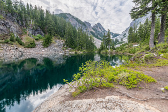 Картинка природа реки озера лес река