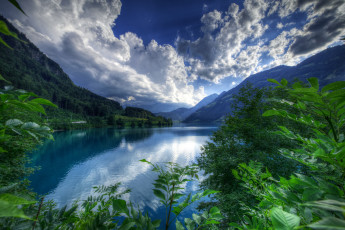 Картинка природа реки озера лес река