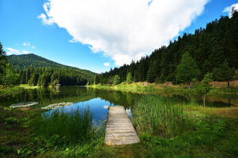 Картинка природа реки озера лес река