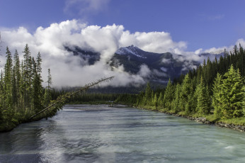 Картинка природа реки озера лес река