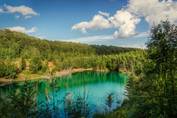 Картинка природа реки озера лес река