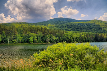 Картинка природа реки озера лес река